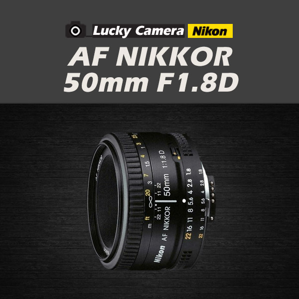 [߰]  ڸ AF-S NIKKOR 200-500mm F5.6E ED VR 